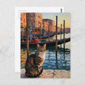 Kat in Venetië Italië Reizen Briefkaart (Voorkant / Achterkant)