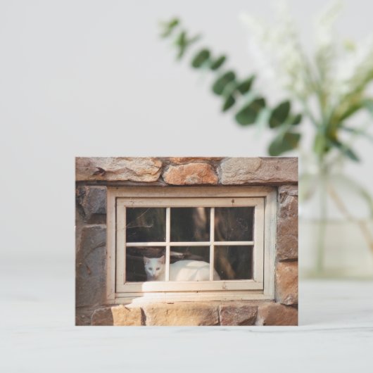 Kat in venster Briefkaart (Staand voorkant)