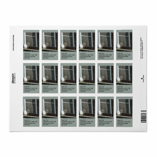 Kat in venster etiket (Full Sheet)