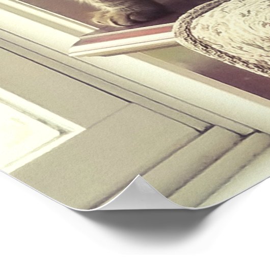 Kat in venster poster (Hoek)