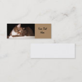 Kat in zacht licht mini visitekaartje (Voorkant / Achterkant)