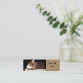 Kat in zacht licht mini visitekaartje (Staand voorkant)