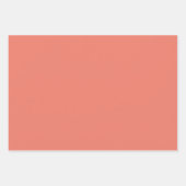 Kat in zonnebrillen inpakpapier vel (Voorkant 2)