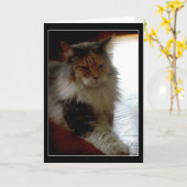 Kat in zonnig raam foto wenskaart kaart (Gele Bloem)