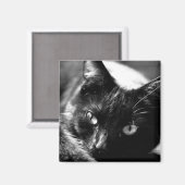 Kat in zwart-wit vierkante magneet (Voorkant / Achterkant)