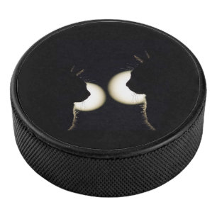 Kat Inbrekers Opgespoord Hockey Puck