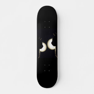 Kat Inbrekers Opgespoord Persoonlijk Skateboard