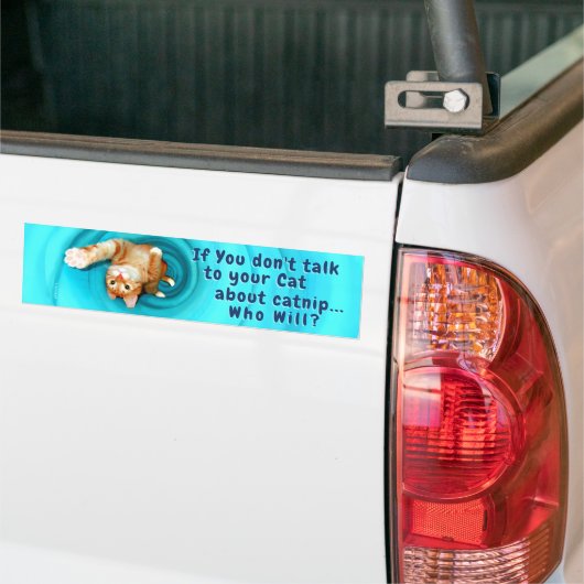Kat Inspiratie Bumpersticker (Op Truck)