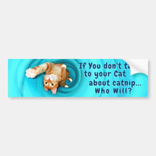 Kat Inspiratie Bumpersticker (Voorkant)