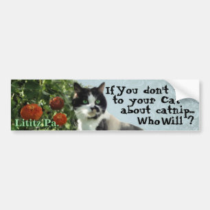 Kat Inspiratie Bumpersticker