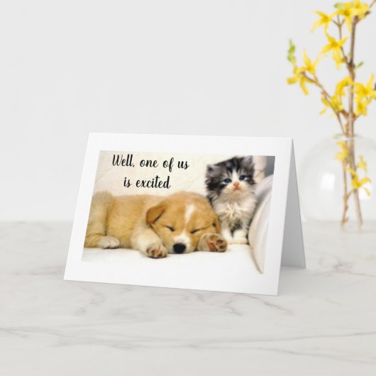 **KAT** IS BLIJ DAT HET JOUW *40 VERJAARDAG* IS KAART (Gele Bloem)