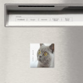 Kat is schattig magneet (Insitu (Vaatwasser))