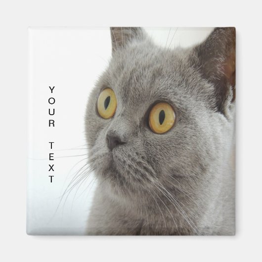 Kat is schattig magneet (Voorkant)