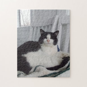 Kat Jigzaag Puzzle Legpuzzel