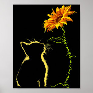 Kat, jij bent mijn zonneschijn katten cadeaupng  poster