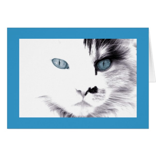 Kat-kaart (Voorkant Horizontaal)