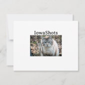 Kat Kaart (Achterkant)