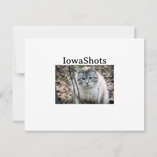 Kat Kaart (Achterkant)