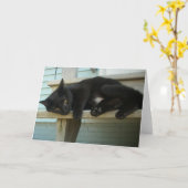 Kat Kaart (Gele Bloem)