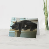 Kat Kaart (Voorkant)