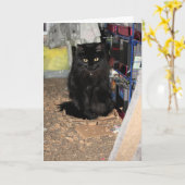 Kat Kaart (Gele Bloem)