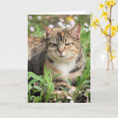 Kat Kaart (Gele Bloem)