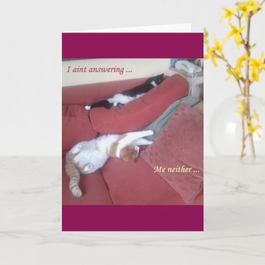 Kat Kaart 2 leuke foto/tekst plus abstracte achter (Gele Bloem)