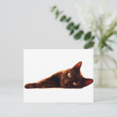 Kat-kaart Briefkaart (Staand voorkant)