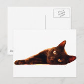Kat-kaart Briefkaart (Voorkant / Achterkant)