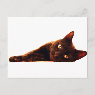 Kat-kaart Briefkaart
