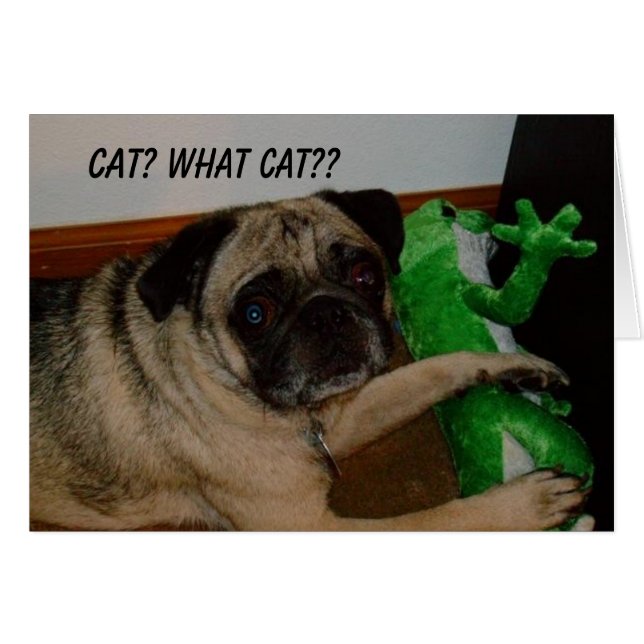 Kat-kaart ontbreekt (Voorkant Horizontaal)