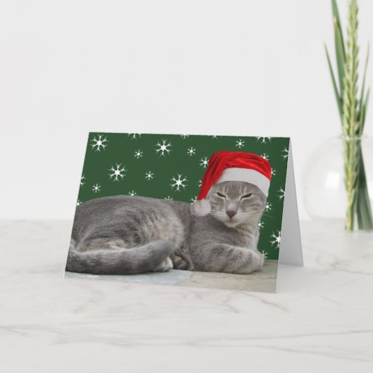 Kat-Kaarten Feestdagen Kaart (Voorkant)
