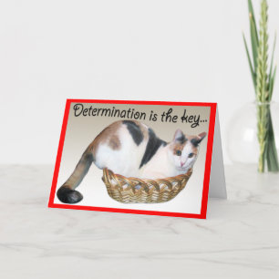 Kat Kaarten, grappige aanmoediging voor een vriend Kaart