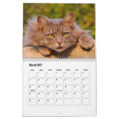 Kat Kalender (Mar 2027)