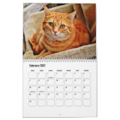 Kat Kalender (Feb 2027)