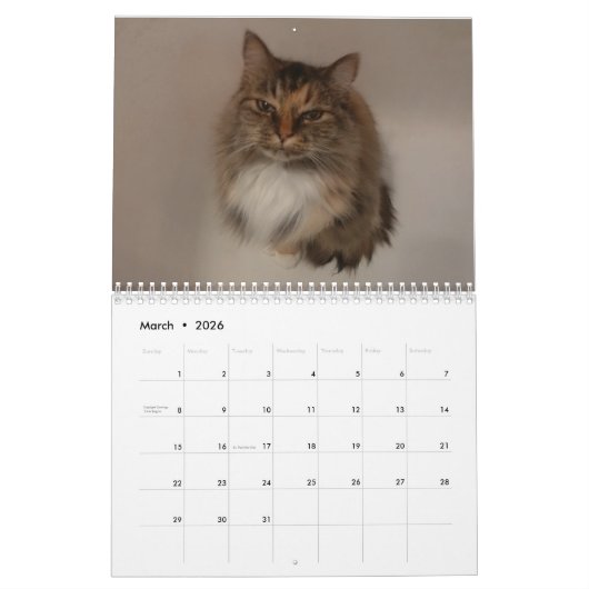 Kat Kalender (Mar 2026)