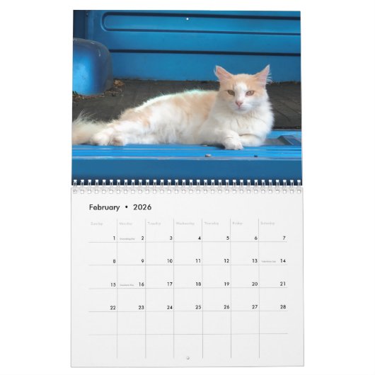 Kat Kalender (Feb 2026)