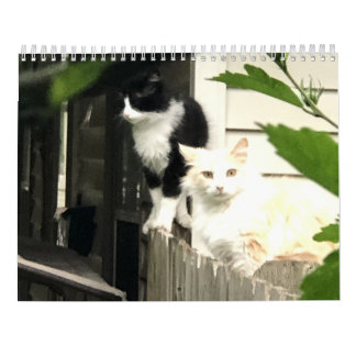 Kat Kalender