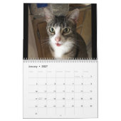 Kat Kalender (Jan 2027)