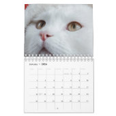 Kat Kalender (Jan 2026)