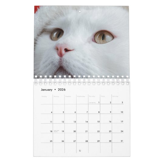Kat Kalender (Jan 2026)