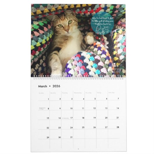 Kat kalender 2018 - Chirpy Cats (Mar 2026)