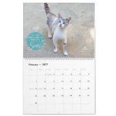 Kat kalender 2018 - Chirpy Cats (Feb 2027)