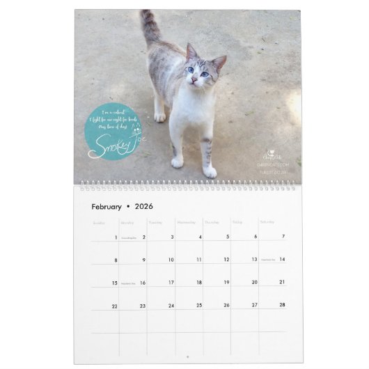 Kat kalender 2018 - Chirpy Cats (Feb 2026)