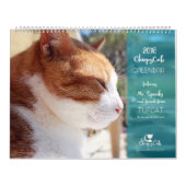 Kat kalender 2018 - Chirpy Cats (Hoes)