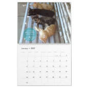 Kat kalender 2018 - Chirpy Cats (Jan 2027)