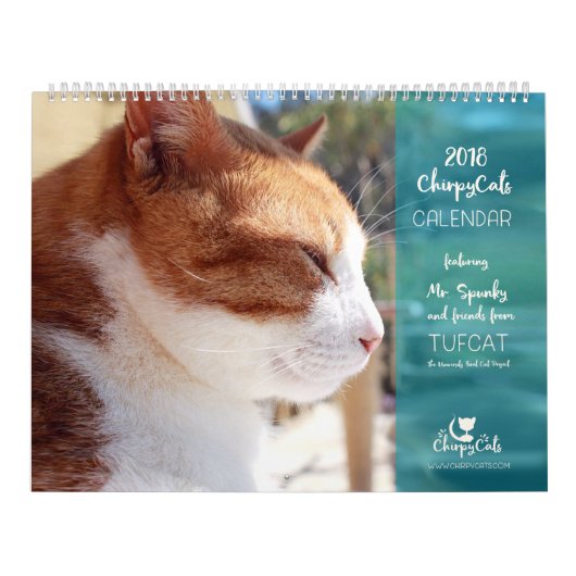 Kat kalender 2018 - Chirpy Cats (Hoes)