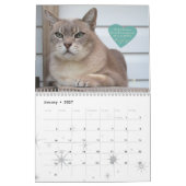 Kat kalender 2020, graaf Gray herinneren (Jan 2027)
