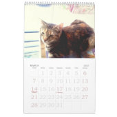 Kat kalender 2022 (Mar 2027)