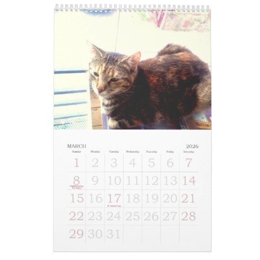 Kat kalender 2022 (Mar 2026)